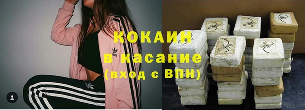 ГАЛЛЮЦИНОГЕННЫЕ ГРИБЫ Пересвет