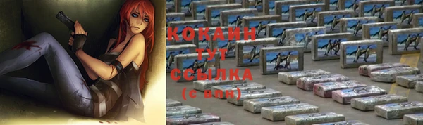 крисы Ельня