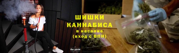 ГАЛЛЮЦИНОГЕННЫЕ ГРИБЫ Пересвет