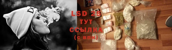 крисы Ельня