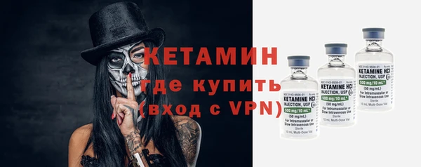 крисы Ельня