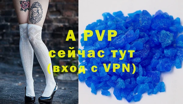 ГАЛЛЮЦИНОГЕННЫЕ ГРИБЫ Пересвет