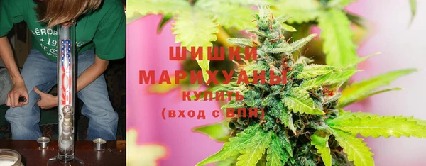 ГАЛЛЮЦИНОГЕННЫЕ ГРИБЫ Пересвет