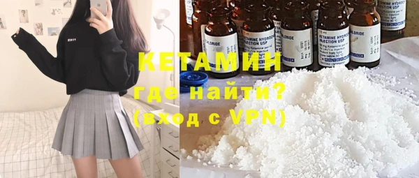 крисы Ельня